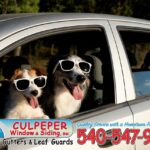 Even the dogs think our business is cool!